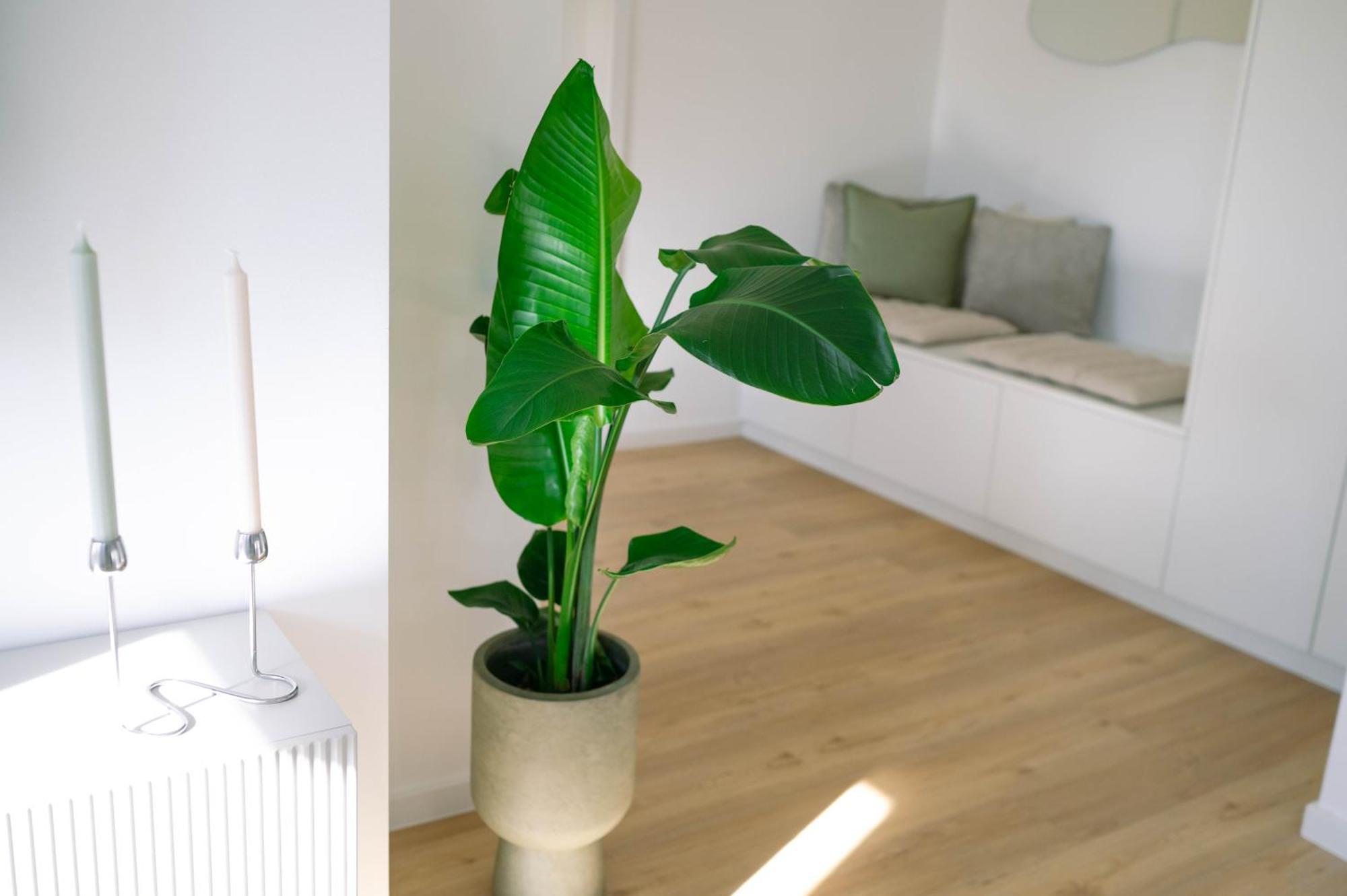 Koe27 - Modernes City-apartment Apartment
